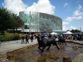 Go Bulls..University of South Florida!!